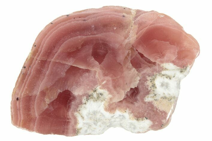 Polished Rhodochrosite Section - Argentina #232521